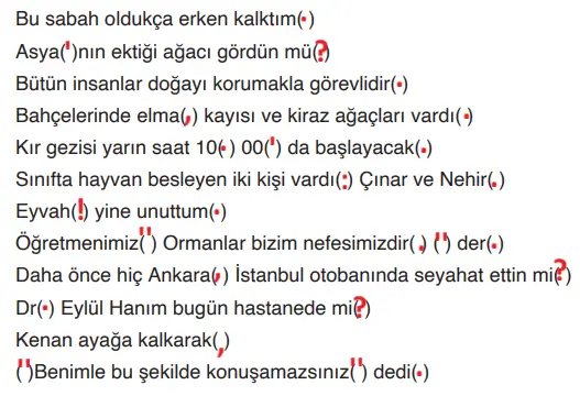 4. Sınıf Türkçe Ders Kitabı Sayfa 176 Cevapları ADA Yayıncılık