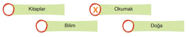 4. Sınıf Türkçe Ders Kitabı Sayfa 192 Cevapları ADA Yayıncılık