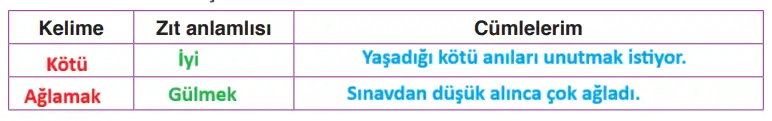 4. Sınıf Türkçe Ders Kitabı Sayfa 203 Cevapları ADA Yayıncılık