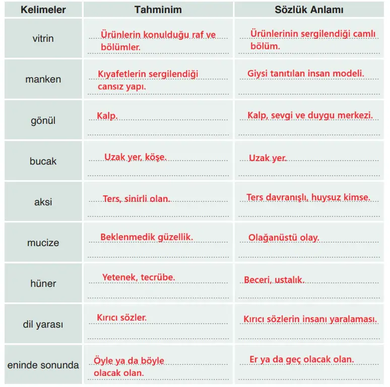 4. Sınıf Türkçe Ders Kitabı Sayfa 216 Cevapları ADA Yayıncılık