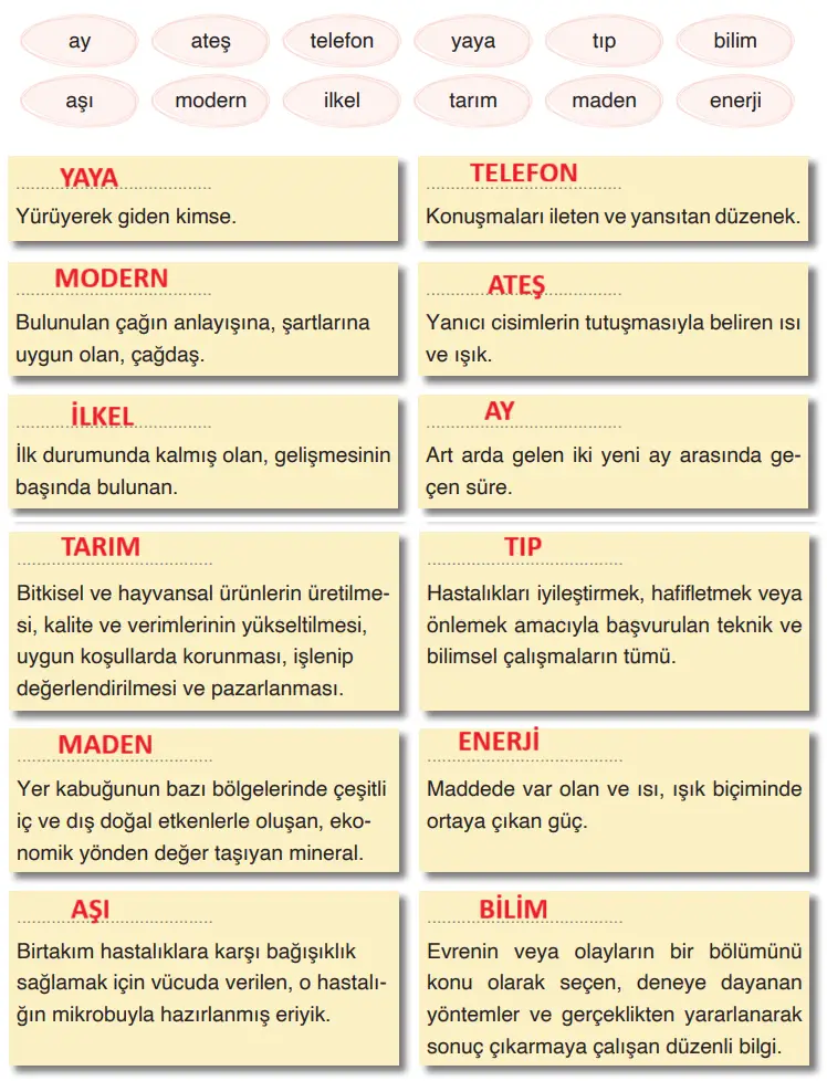 4. Sınıf Türkçe Ders Kitabı Sayfa 248 Cevapları ADA Yayıncılık