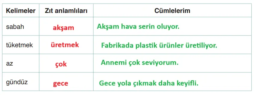 4. Sınıf Türkçe Ders Kitabı Sayfa 259 Cevapları ADA Yayıncılık