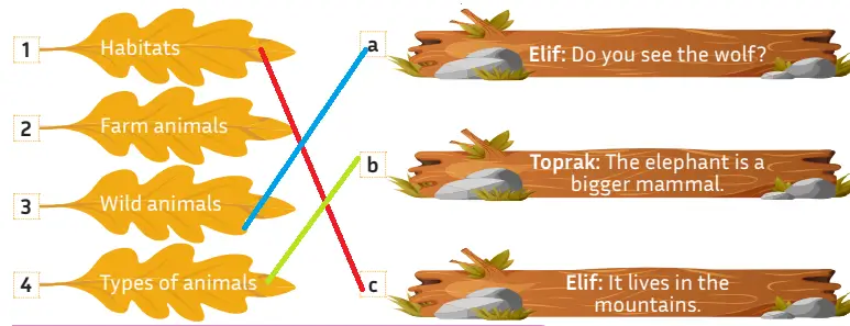5. Sınıf İngilizce Ders Kitabı Sayfa 115 Cevapları MEB Yayınları