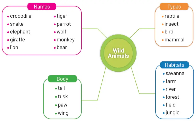 5. Sınıf İngilizce Ders Kitabı Sayfa 117 Cevapları MEB Yayınları