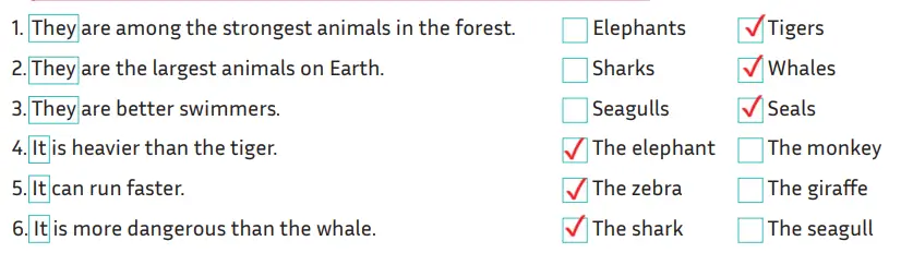 5. Sınıf İngilizce Ders Kitabı Sayfa 121 Cevapları MEB Yayınları 5. Sınıf İngilizce Ders Kitabı Sayfa 121 Cevapları MEB Yayınları