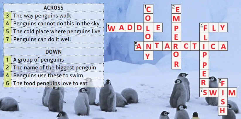 5. Sınıf İngilizce Ders Kitabı Sayfa 122 Cevapları MEB Yayınları 5. Sınıf İngilizce Ders Kitabı Sayfa 122 Cevapları MEB Yayınları
