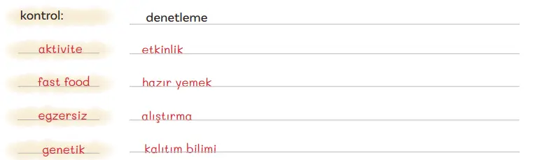 5. Sınıf Türkçe Ders Kitabı Sayfa 143 Cevapları MEB Yayınları