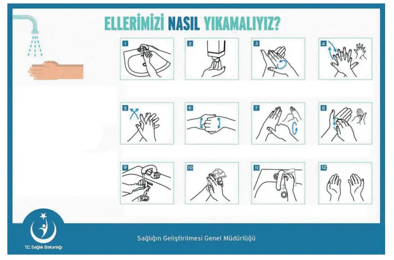 5. Sınıf Türkçe Ders Kitabı Sayfa 146 Cevapları MEB Yayınları