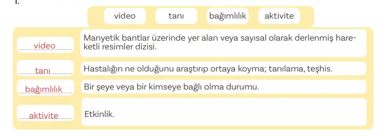 5. Sınıf Türkçe Ders Kitabı Sayfa 153 Cevapları MEB Yayınları