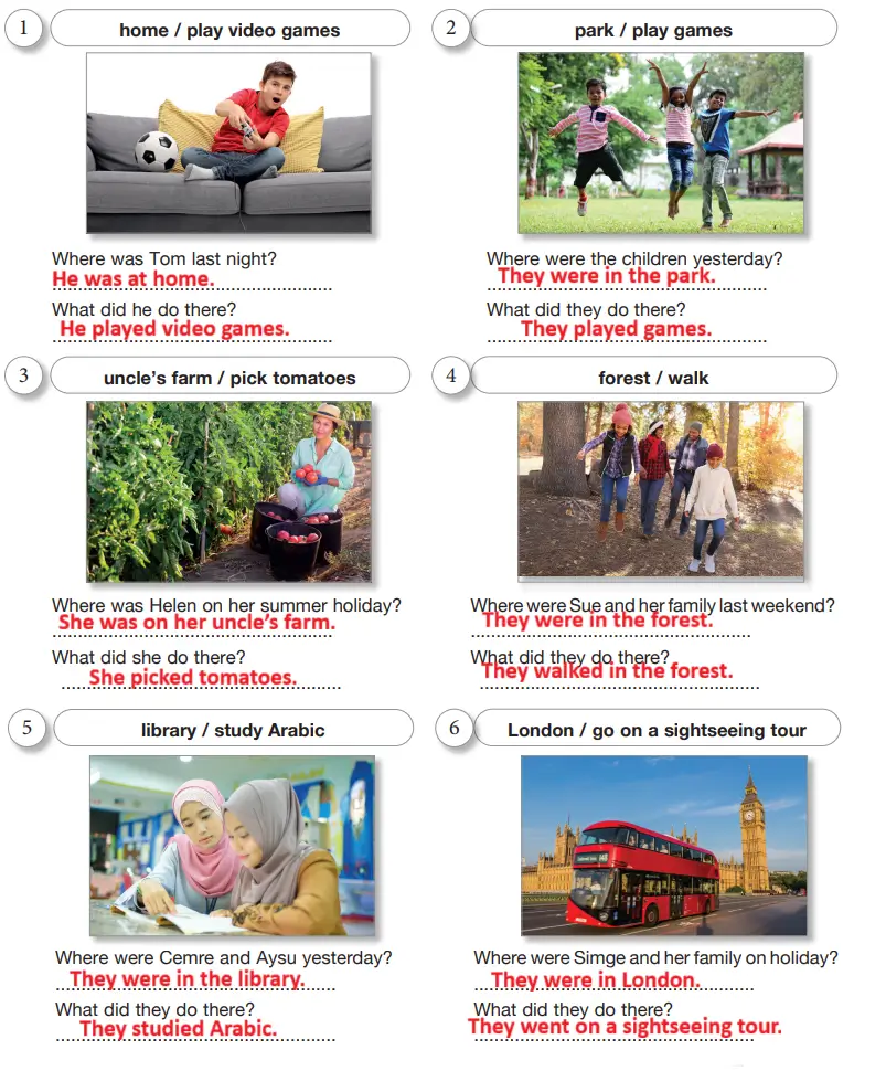 6. Sınıf İngilizce Ders Kitabı Sayfa 115 Cevapları ÖZGÜN Yayıncılık