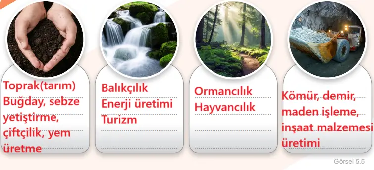 6. Sınıf Sosyal Bilgiler Ders Kitabı Sayfa 49 Cevapları MEB Yayınları