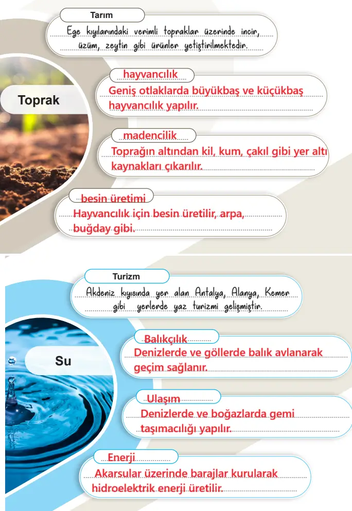 6. Sınıf Sosyal Bilgiler Ders Kitabı Sayfa 58-59 Cevapları MEB Yayınları