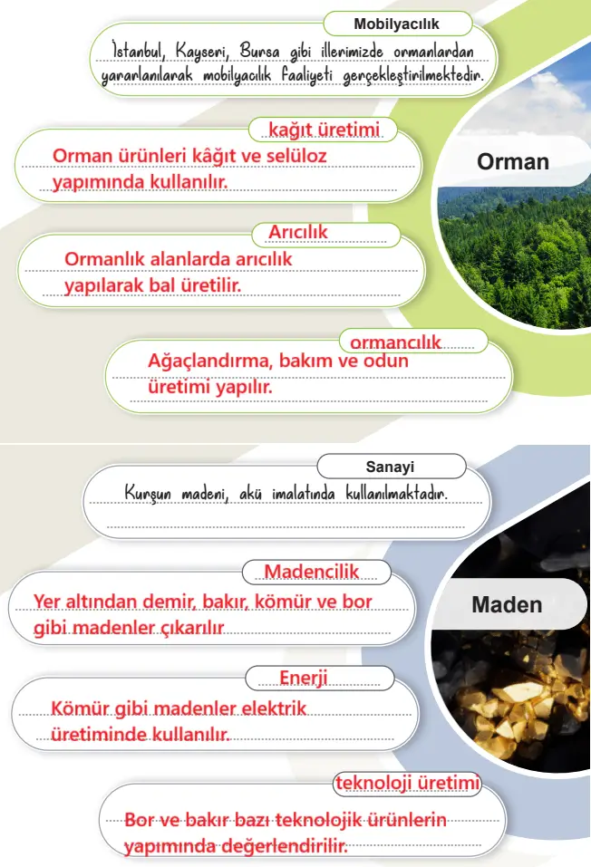 6.-Sinif-Sosyal-Bilgiler-Ders-Kitabi-Sayfa-58-59-Cevaplari-MEB-Yayinlari-2 6. Sınıf Sosyal Bilgiler Ders Kitabı 48-49-50-58-59-60-61-62-63. Sayfa Cevapları 2. KİTAP