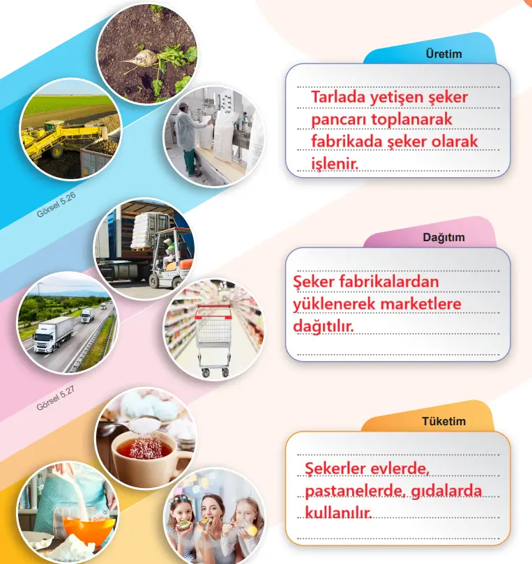 6. Sınıf Sosyal Bilgiler Ders Kitabı Sayfa 74 Cevapları MEB Yayınları