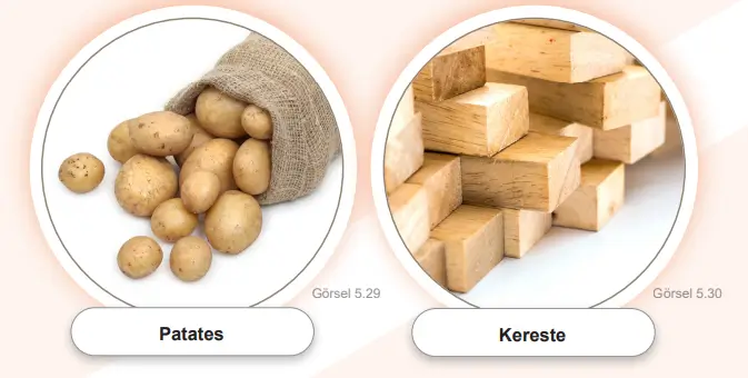 6. Sınıf Sosyal Bilgiler Ders Kitabı Sayfa 75 Cevapları MEB Yayınları