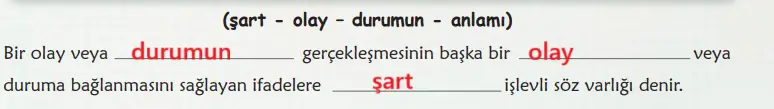 6. Sınıf Türkçe Ders Kitabı Sayfa 31 Cevapları MEB Yayınları