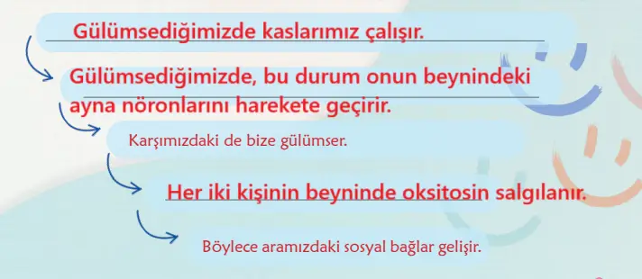 6. Sınıf Türkçe Ders Kitabı Sayfa 34-35 Cevapları MEB Yayınları