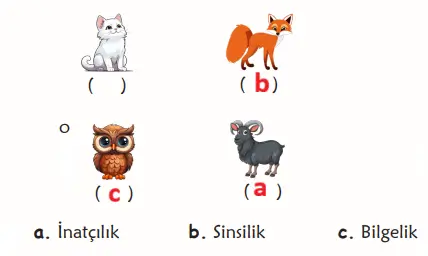 6. Sınıf Türkçe Ders Kitabı Sayfa 36 Cevapları MEB Yayınları