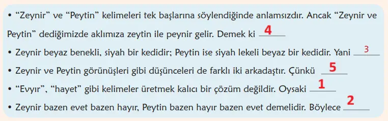 6. Sınıf Türkçe Ders Kitabı Sayfa 38 Cevapları MEB Yayınları