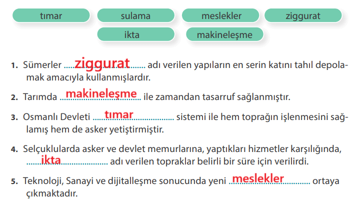 7. Sınıf Sosyal Bilgiler Ders Kitabı Sayfa 221 Cevapları MEB Yayınları 7. Sınıf Sosyal Bilgiler Ders Kitabı Sayfa 221 Cevapları MEB Yayınları