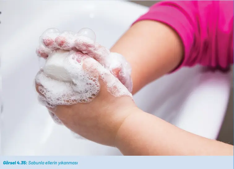 8. Sınıf Fen Bilimleri Ders Kitabı Sayfa 147-150-151-152-154-156-157. Cevapları Hecce Yayıncılık 8. Sınıf Fen Bilimleri Ders Kitabı Sayfa 147 Cevapları Hecce Yayıncılık