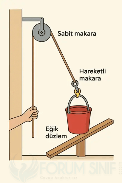 8. Sınıf Fen Bilimleri Ders Kitabı Sayfa 183 Cevapları MEB Yayınları