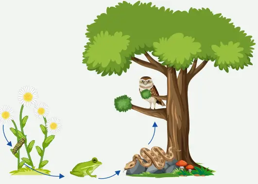 8. Sınıf Fen Bilimleri Ders Kitabı Sayfa 198 Cevapları MEB Yayınları