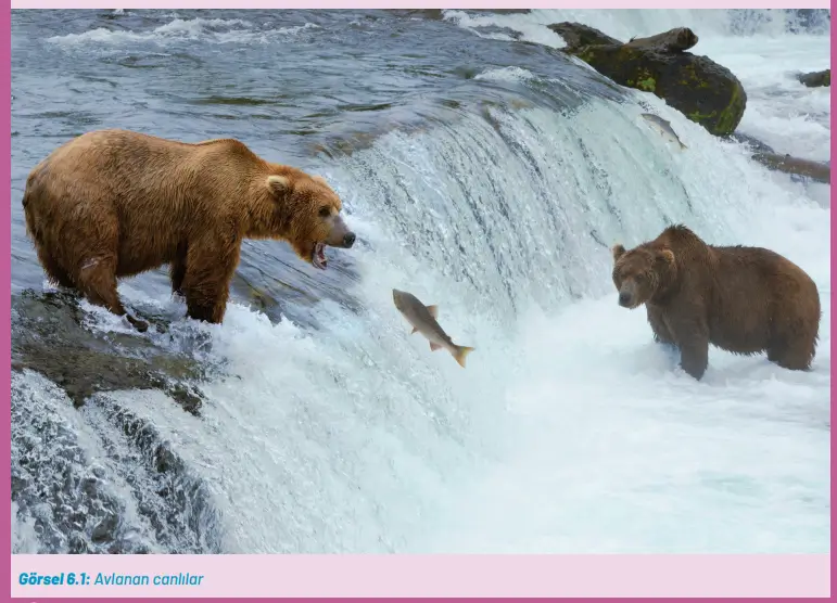 8. Sınıf Fen Bilimleri Ders Kitabı Sayfa 226-232. Cevapları Hecce Yayıncılık 8. Sınıf Fen Bilimleri Ders Kitabı Sayfa 226 Cevapları Hecce Yayıncılık