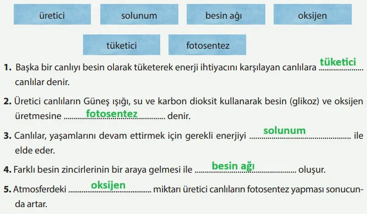 8. Sınıf Fen Bilimleri Ders Kitabı Sayfa 227-228-229-230-231-232-233-234-235-236-237. Cevapları MEB Yayınları 8. Sınıf Fen Bilimleri Ders Kitabı Sayfa 227 Cevapları MEB Yayınları1