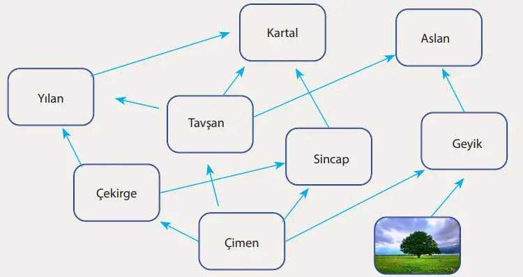 8. Sınıf Fen Bilimleri Ders Kitabı Sayfa 227-228-229-230-231-232-233-234-235-236-237. Cevapları MEB Yayınları 8. Sınıf Fen Bilimleri Ders Kitabı Sayfa 228 Cevapları MEB Yayınları