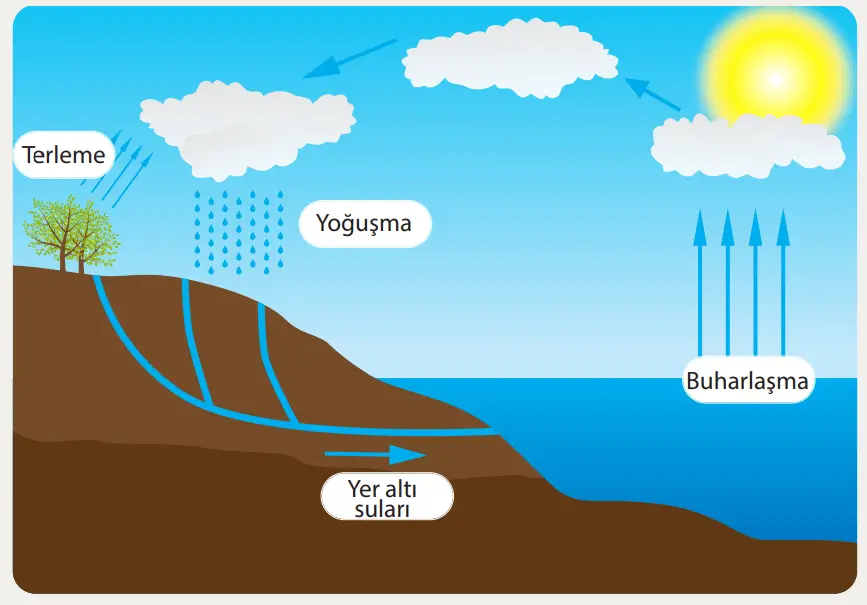 8. Sınıf Fen Bilimleri Ders Kitabı Sayfa 227-228-229-230-231-232-233-234-235-236-237. Cevapları MEB Yayınları 8. Sınıf Fen Bilimleri Ders Kitabı Sayfa 229 Cevapları MEB Yayınları