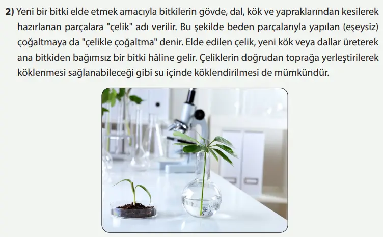 8. Sınıf Fen Bilimleri Ders Kitabı Sayfa 227-228-229-230-231-232-233-234-235-236-237. Cevapları MEB Yayınları 8. Sınıf Fen Bilimleri Ders Kitabı Sayfa 231 Cevapları MEB Yayınları1