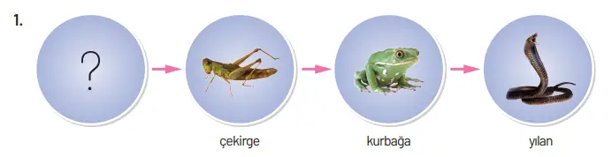 8. Sınıf Fen Bilimleri Ders Kitabı Sayfa 226-232. Cevapları Hecce Yayıncılık 8. Sınıf Fen Bilimleri Ders Kitabı Sayfa 232 Cevapları Hecce Yayıncılık