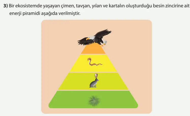 8. Sınıf Fen Bilimleri Ders Kitabı Sayfa 227-228-229-230-231-232-233-234-235-236-237. Cevapları MEB Yayınları 8. Sınıf Fen Bilimleri Ders Kitabı Sayfa 232 Cevapları MEB Yayınları