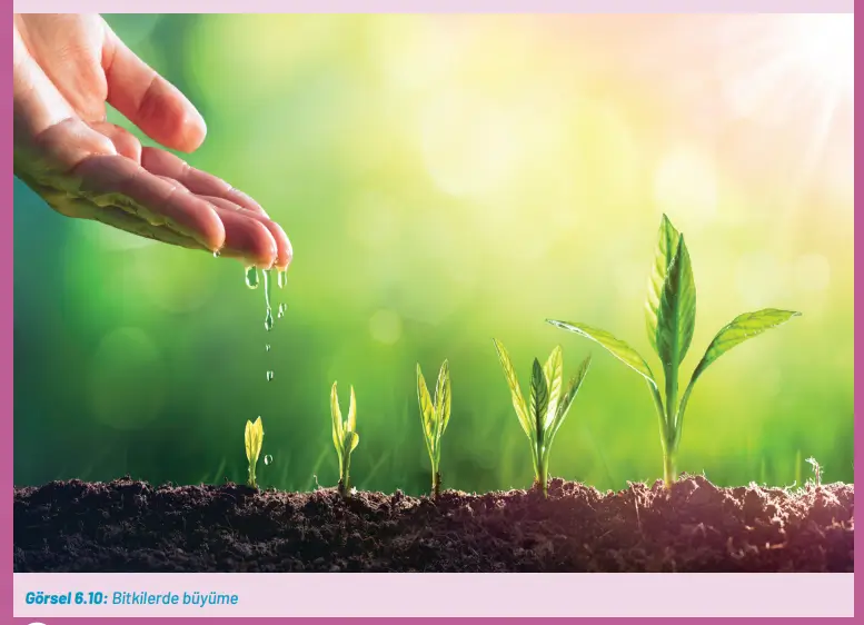 8. Sınıf Fen Bilimleri Ders Kitabı Sayfa 233-234-235-236-240-241. Cevapları Hecce Yayıncılık 8. Sınıf Fen Bilimleri Ders Kitabı Sayfa 233 Cevapları Hecce Yayıncılık