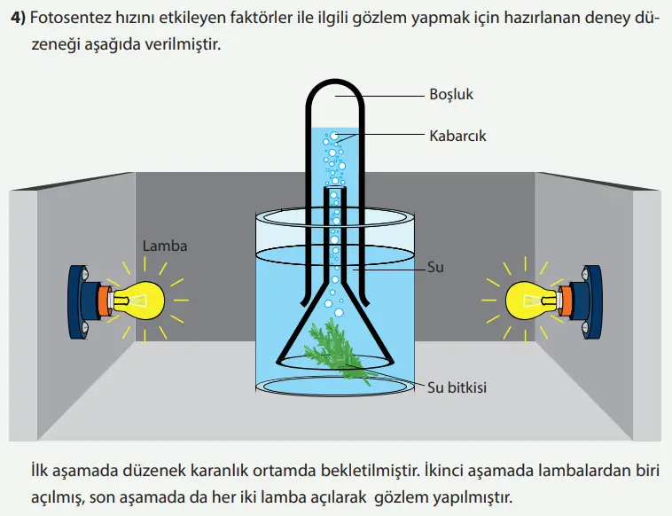 8. Sınıf Fen Bilimleri Ders Kitabı Sayfa 227-228-229-230-231-232-233-234-235-236-237. Cevapları MEB Yayınları 8. Sınıf Fen Bilimleri Ders Kitabı Sayfa 233 Cevapları MEB Yayınları