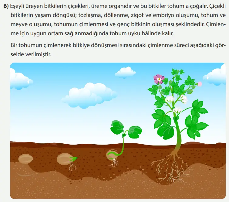 8. Sınıf Fen Bilimleri Ders Kitabı Sayfa 227-228-229-230-231-232-233-234-235-236-237. Cevapları MEB Yayınları 8. Sınıf Fen Bilimleri Ders Kitabı Sayfa 235 Cevapları MEB Yayınları1