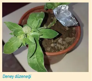 8. Sınıf Fen Bilimleri Ders Kitabı Sayfa 233-234-235-236-240-241. Cevapları Hecce Yayıncılık 8. Sınıf Fen Bilimleri Ders Kitabı Sayfa 236 Cevapları Hecce Yayıncılık