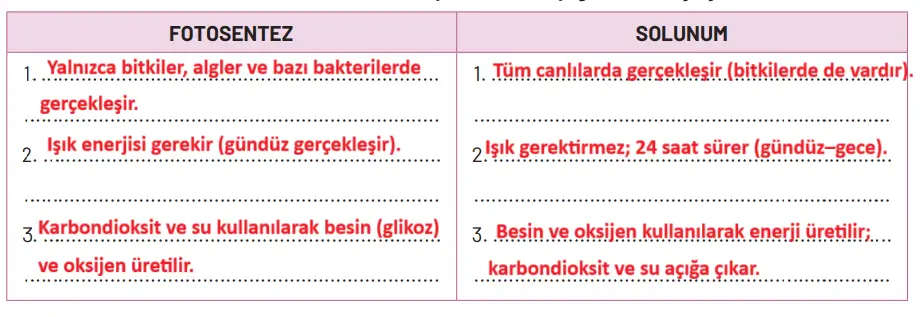 8. Sınıf Fen Bilimleri Ders Kitabı Sayfa 233-234-235-236-240-241. Cevapları Hecce Yayıncılık 8. Sınıf Fen Bilimleri Ders Kitabı Sayfa 240 Cevapları Hecce Yayıncılık