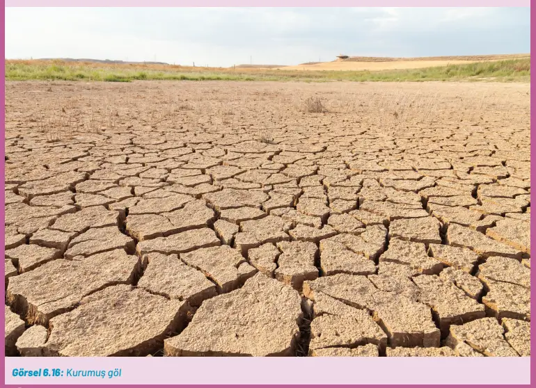 8. Sınıf Fen Bilimleri Ders Kitabı Sayfa 242-244-247-248-251-253. Cevapları Hecce Yayıncılık 8. Sınıf Fen Bilimleri Ders Kitabı Sayfa 242 Cevapları Hecce Yayıncılık