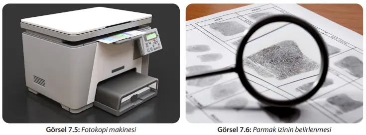 8. Sınıf Fen Bilimleri Ders Kitabı Sayfa 243 Cevapları MEB Yayınları