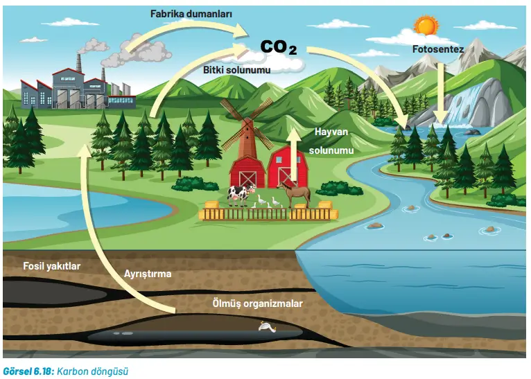 8. Sınıf Fen Bilimleri Ders Kitabı Sayfa 242-244-247-248-251-253. Cevapları Hecce Yayıncılık 8. Sınıf Fen Bilimleri Ders Kitabı Sayfa 244 Cevapları Hecce Yayıncılık