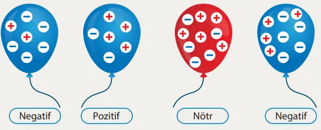 8. Sınıf Fen Bilimleri Ders Kitabı Sayfa 256 Cevapları MEB Yayınları