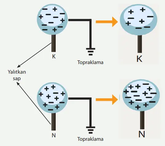 8. Sınıf Fen Bilimleri Ders Kitabı Sayfa 257 Cevapları MEB Yayınları
