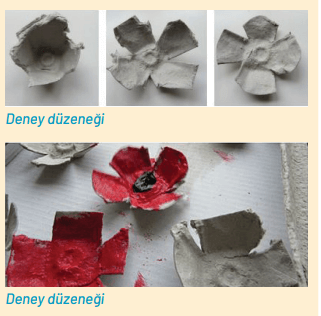 8. Sınıf Fen Bilimleri Ders Kitabı Sayfa 261 Cevapları Hecce Yayıncılık 8. Sınıf Fen Bilimleri Ders Kitabı Sayfa 261 Cevapları Hecce Yayıncılık