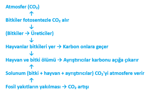 8. Sınıf Fen Bilimleri Ders Kitabı Sayfa 264 Cevapları Hecce Yayıncılık1 8. Sınıf Fen Bilimleri Ders Kitabı Sayfa 264 Cevapları Hecce Yayıncılık1