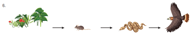 8. Sınıf Fen Bilimleri Ders Kitabı Sayfa 266 Cevapları Hecce Yayıncılık 8. Sınıf Fen Bilimleri Ders Kitabı Sayfa 266 Cevapları Hecce Yayıncılık