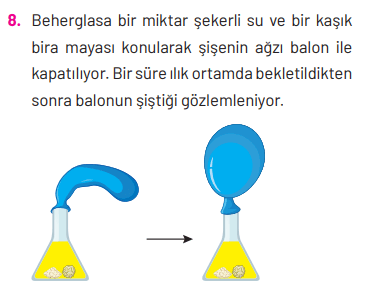 8. Sınıf Fen Bilimleri Ders Kitabı Sayfa 268 Cevapları Hecce Yayıncılık 8. Sınıf Fen Bilimleri Ders Kitabı Sayfa 268 Cevapları Hecce Yayıncılık