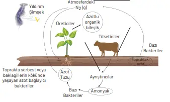 8. Sınıf Fen Bilimleri Ders Kitabı Sayfa 268 Cevapları Hecce Yayıncılık2 8. Sınıf Fen Bilimleri Ders Kitabı Sayfa 268 Cevapları Hecce Yayıncılık2