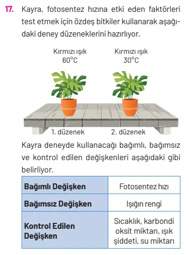 8. Sınıf Fen Bilimleri Ders Kitabı Sayfa 269 Cevapları Hecce Yayıncılık 8. Sınıf Fen Bilimleri Ders Kitabı Sayfa 269 Cevapları Hecce Yayıncılık